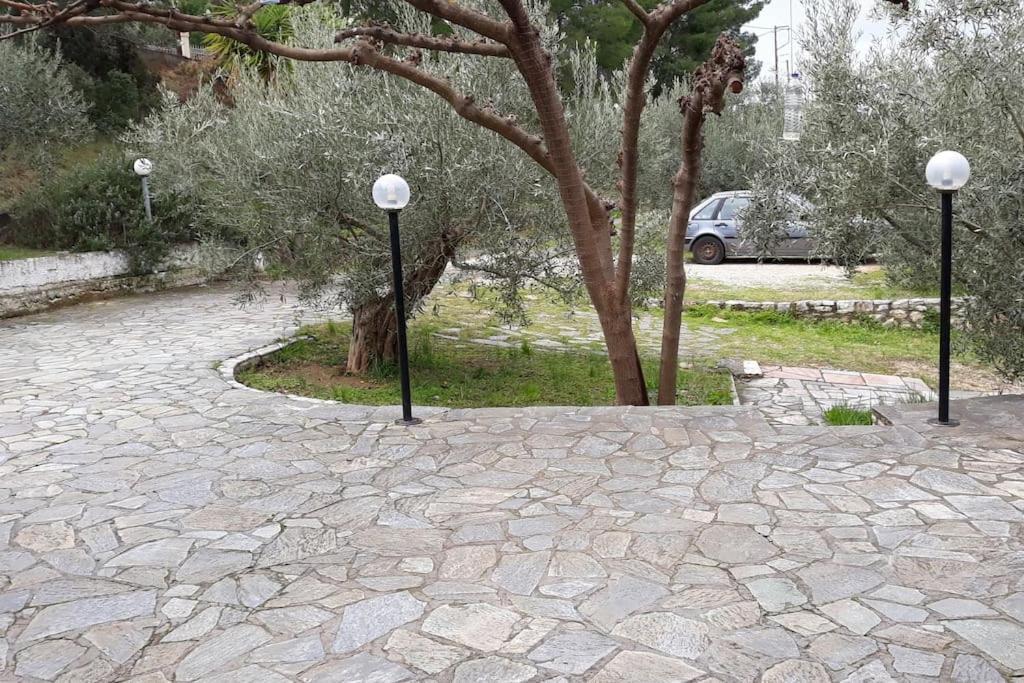Σπίτι Σε Ελαιώνα, House In An Olive Grove Ária Exterior foto