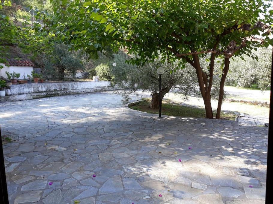 Σπίτι Σε Ελαιώνα, House In An Olive Grove Ária Exterior foto